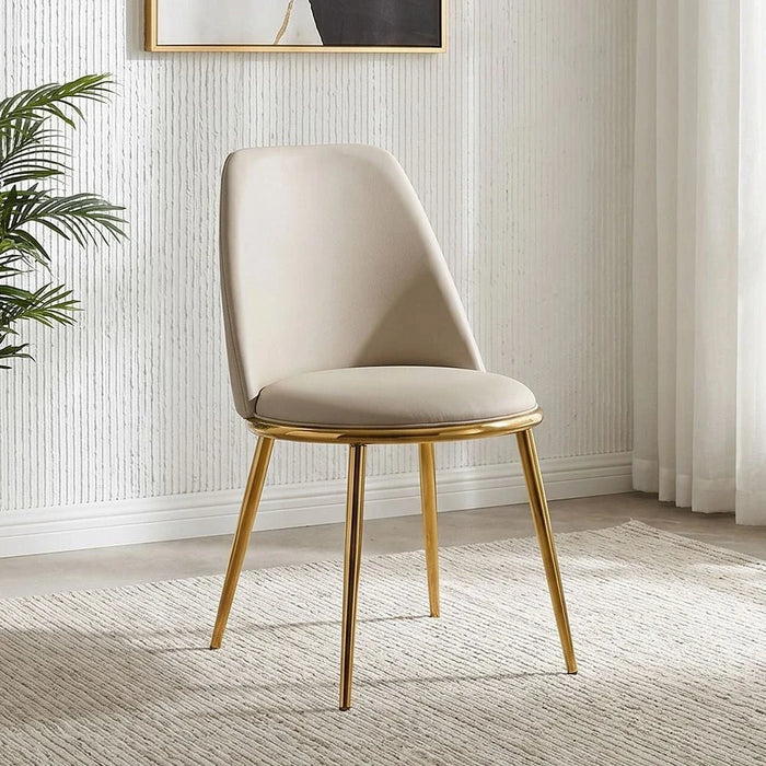 Niha Chair-Set of 2-Beige/Gold-With 2-Year Warranty