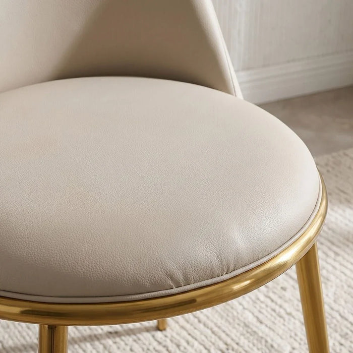 Niha Chair-Set of 2-Beige/Gold-With 2-Year Warranty