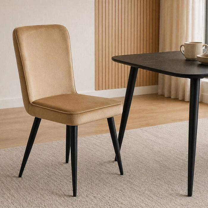 Santiago Set of 2 Fabric Dining Chairs - Taupe/Black - With 2-Year Warranty