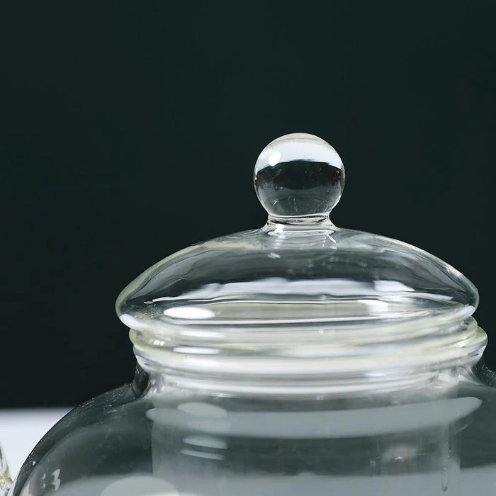 Neoflam Glass Tea Pot 800Ml - Dtc16608