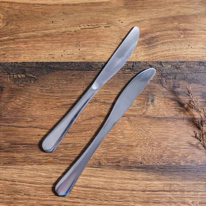 Rosemarry 2-Pc Dinner Knife-Silver-22x2 cm