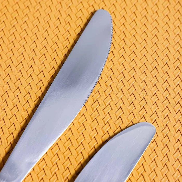 Rosemarry 2-Pc Dinner Knife-Silver-22x2 cm