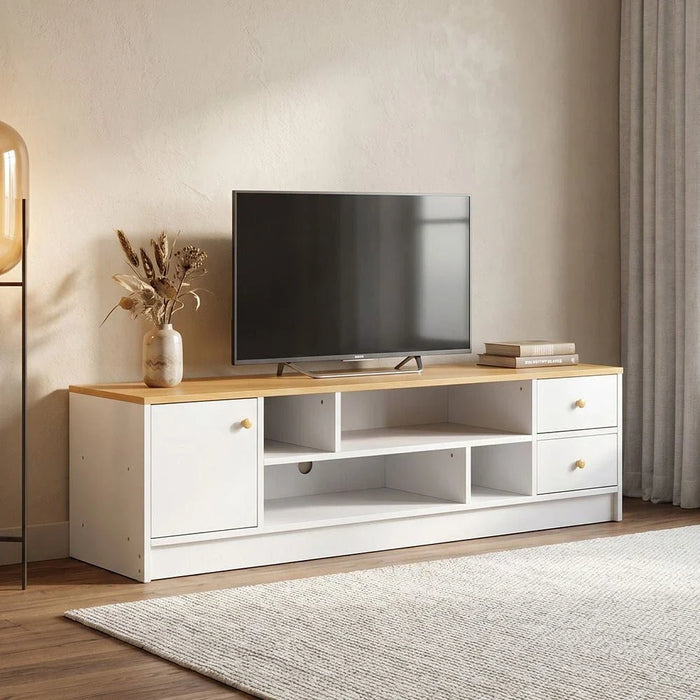 Gianni TV Unit for TVs up to 50 Inches with Storage