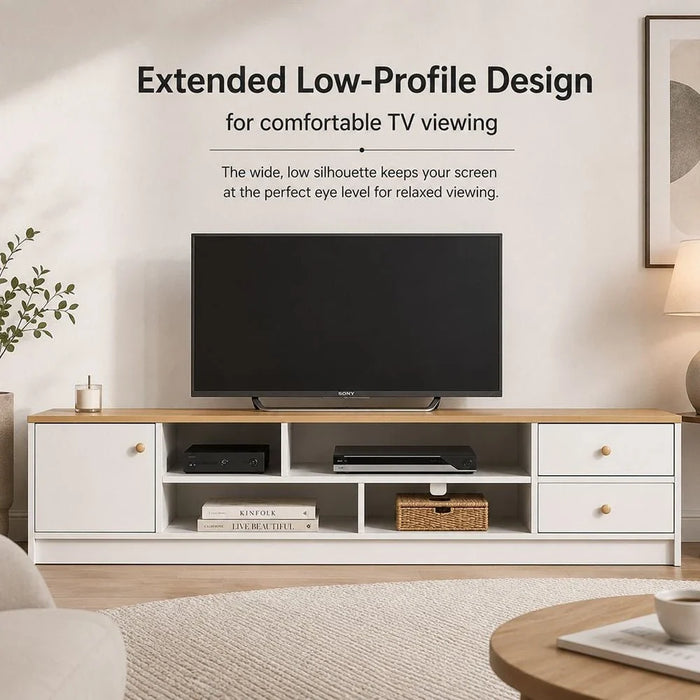 Gianni TV Unit for TVs up to 50 Inches with Storage