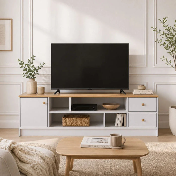Gianni TV Unit for TVs up to 50 Inches with Storage