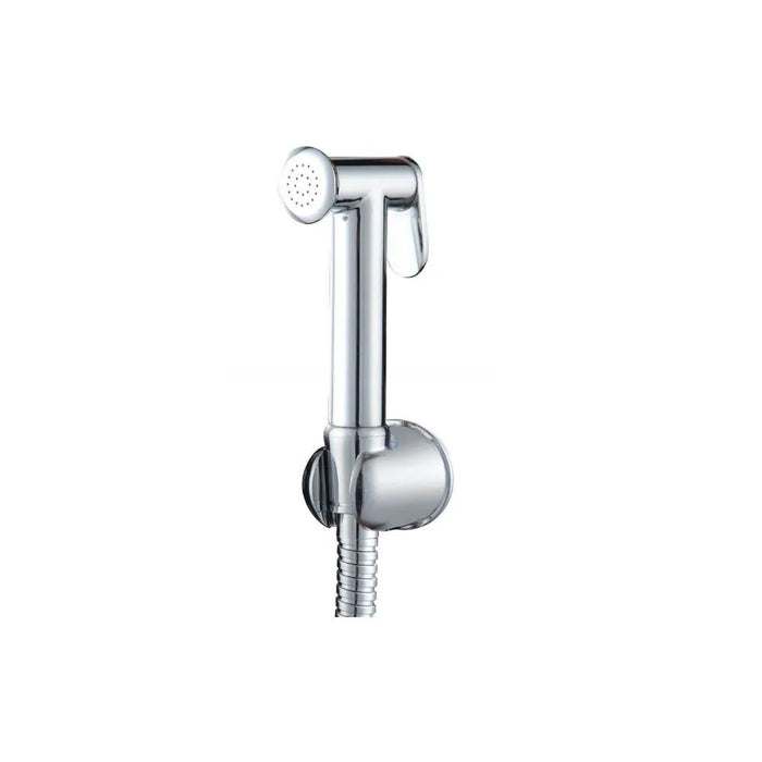 Sleek Brass Shattaf Set Chrome Standard