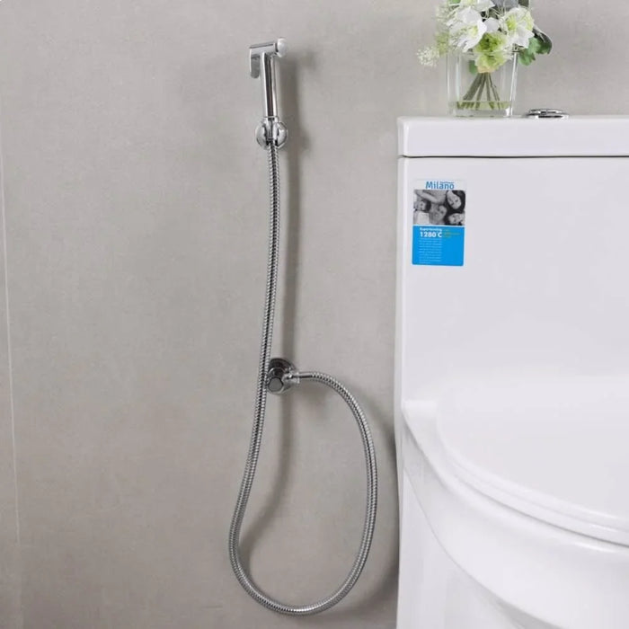 Sleek Brass Shattaf Set Chrome Standard