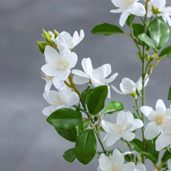 Gardenia Artificial Plant – 55 cm Faux Blooming Shrub for Elegant Tabletop & Indoor Décor, Realistic Flowers, Maintenance-Free Accent Piece