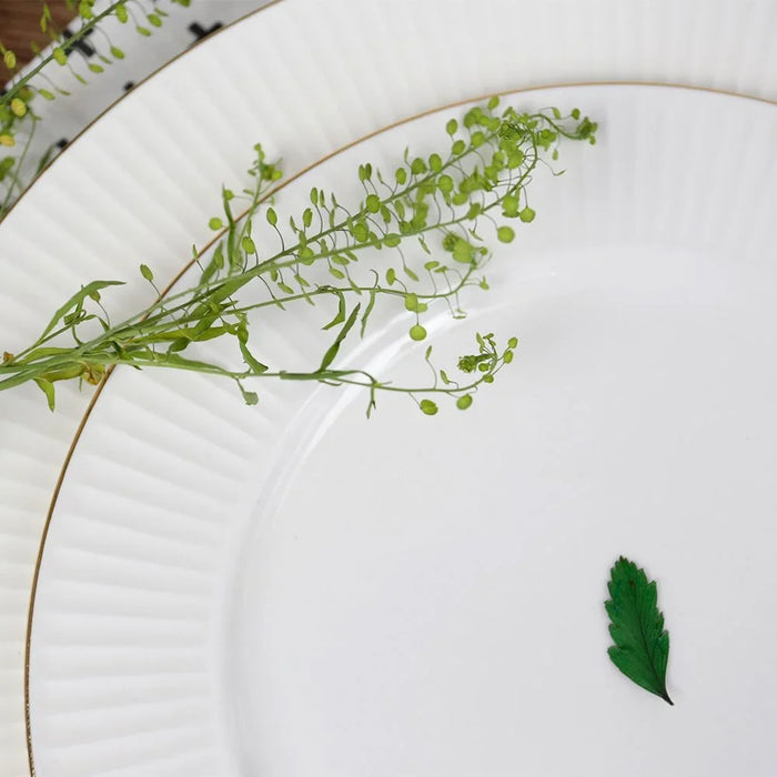 Royal Orchid Dinner Plate - 27cm, White, For Dining