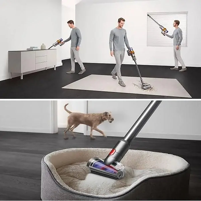 Person using a cordless vacuum cleaner in a room with a dog walking by.