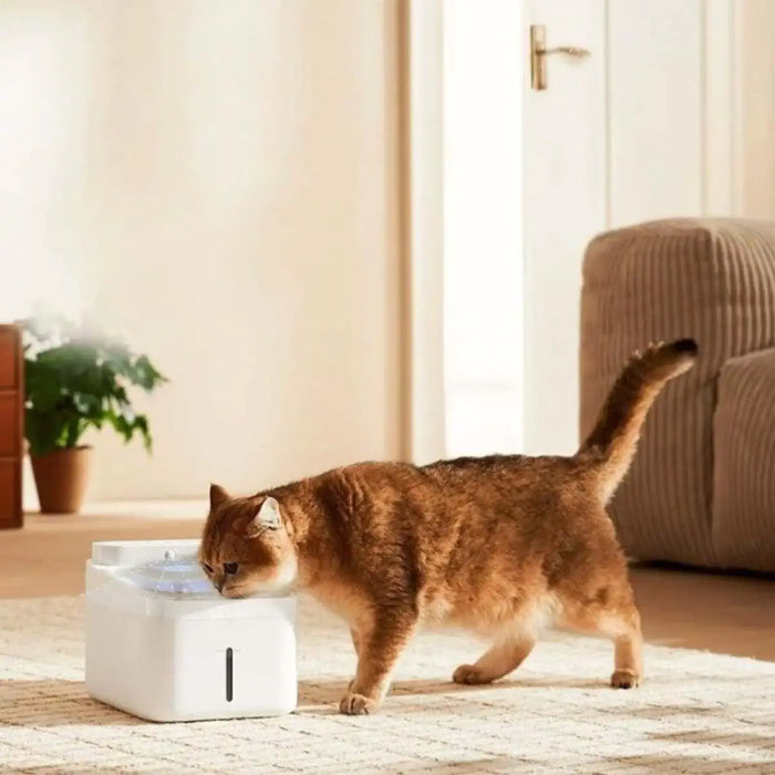 Xiaomi Smart Pet Fountain 2 | 3L Capacity | Wireless 100-Day Battery | 4-Stage Filtration | App Control | IPX7 Water Resistant