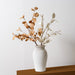 White vase with dried branches on a white background