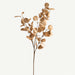 Artificial eucalyptus branch with gold leaves on a white background