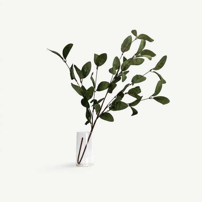 Eucalyptus Leaves - Green