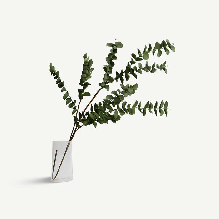 Eucalyptus Leaves - Green