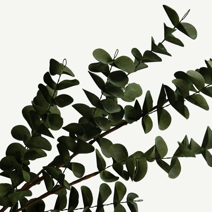 Eucalyptus Leaves - Green