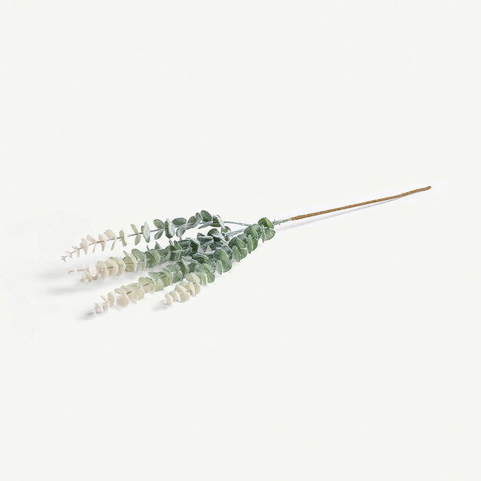 Eucalyptus Leaves -Pastel Green