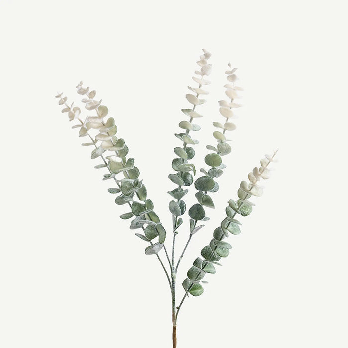 Eucalyptus Leaves -Pastel Green