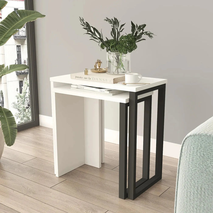 Lunar Edge Coffee Table  2 set, White