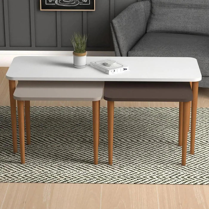 Omega Nested Coffee Table for Living Room | Contemporary Modern Nesting Coffee Table Set of 3 in Multicolor