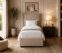Neatly made bed in a bedroom with a lamp and plant.