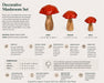 Decorative Wooden Mushroom Sculpture Set - Red Kiana