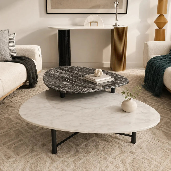 Monvera Marble Coffee Table Set