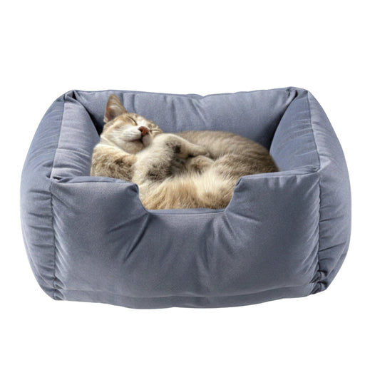 Honey Pet Bed (M) Living Point