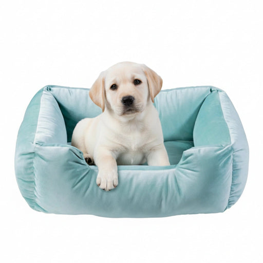 Sweety Pet Bed (L) Living Point