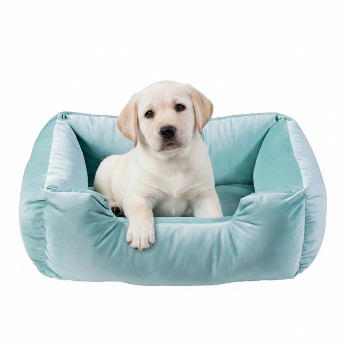 Sweety Pet Bed (L) Living Point