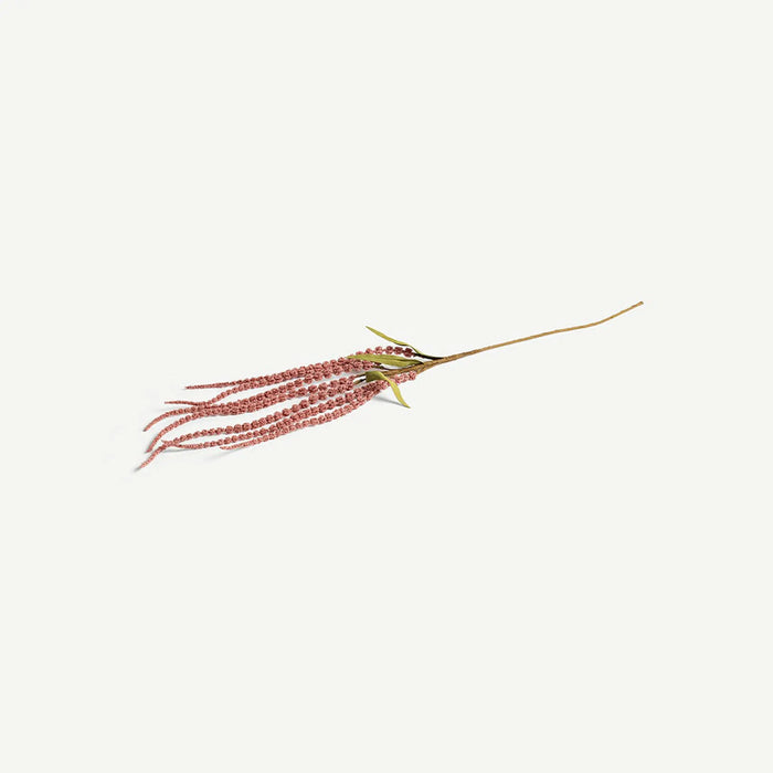 Long Spike Flower Stem -Blush
