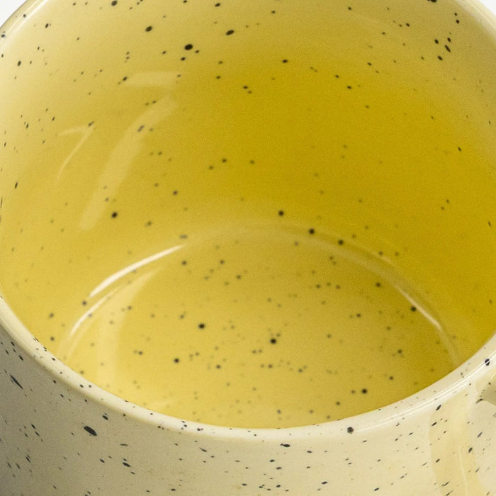 Merioz Mug - 300ml