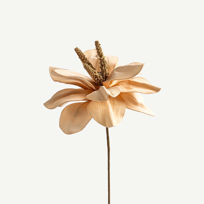 Mohnalia Flower Stem -Peach