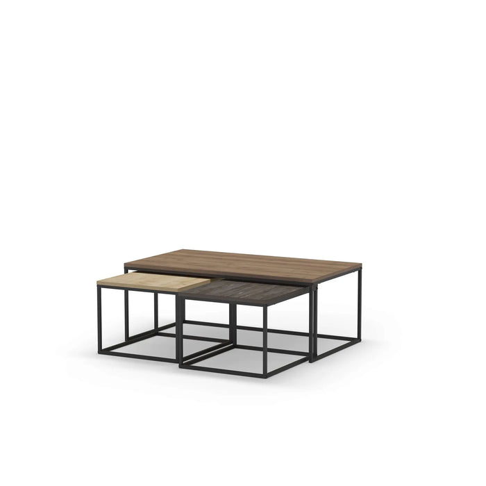 Mourah Camelia Coffee Table - 2 Years Warranty