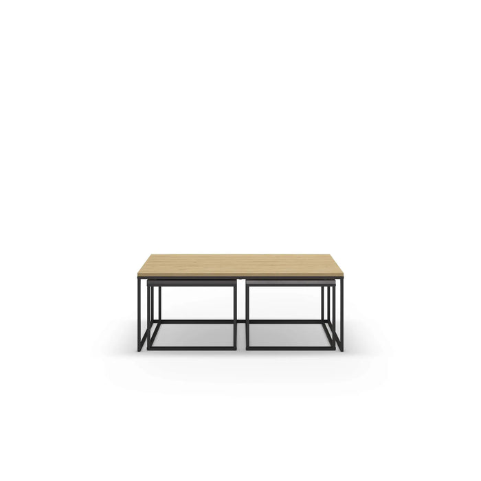 Mourah Camelia Coffee Table - 2 Years Warranty