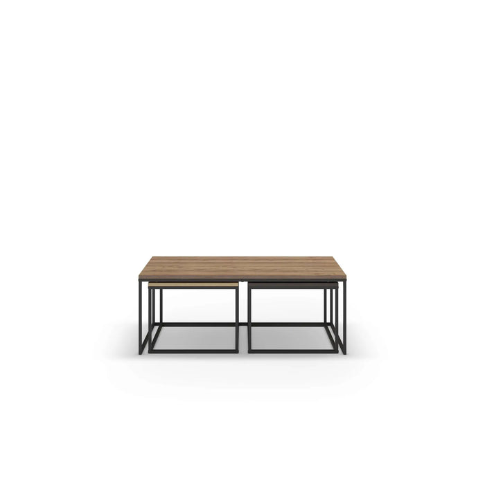 Mourah Camelia Coffee Table - 2 Years Warranty