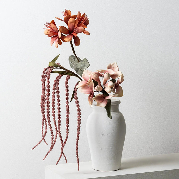 Agave Flower Stem -Coral OC Home