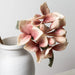 Agave Flower Stem -Coral OC Home