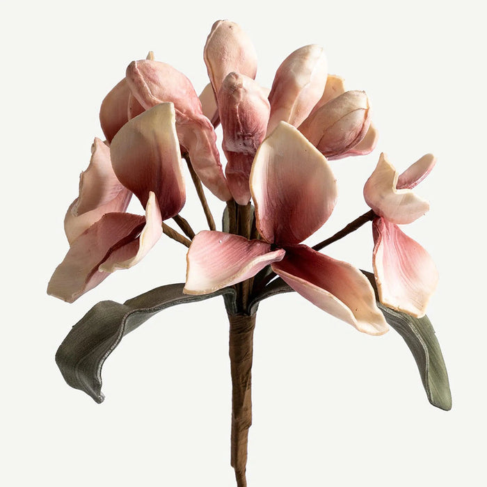 Agave Flower Stem -Coral OC Home