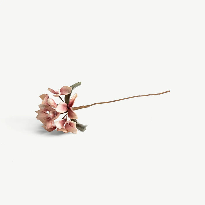Agave Flower Stem -Coral OC Home