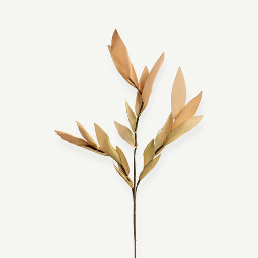 Bamboo Leaves - Beige OC Home