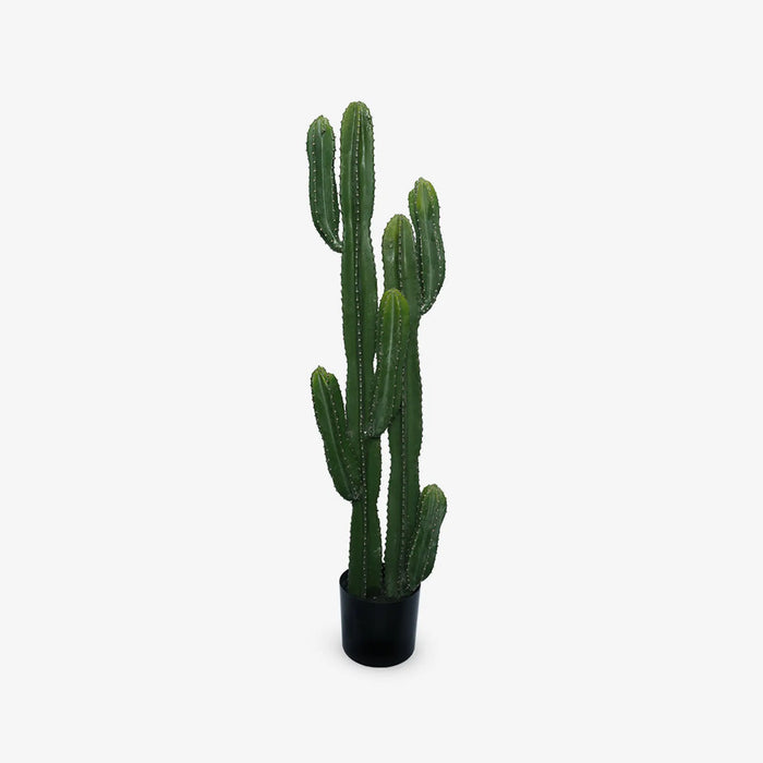 Cactus With Pot - 131cm