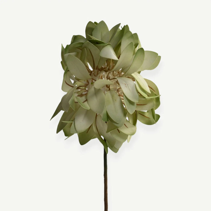 Cornflower Stem - Green