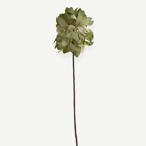 Cornflower Stem - Green OC Home
