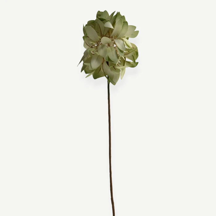 Cornflower Stem - Green