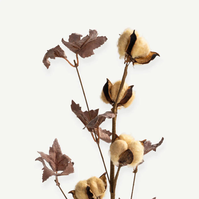 Cotton Branch - Beige
