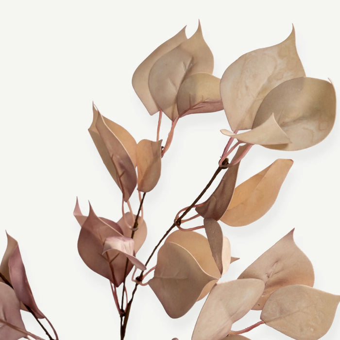 Eucalyptus Leaves - H70 Cm