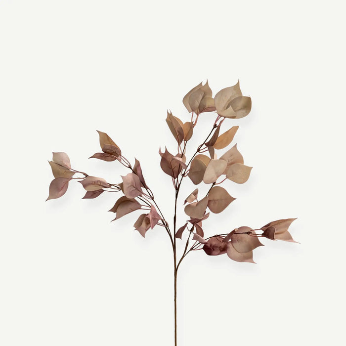 Eucalyptus Leaves - H70 Cm