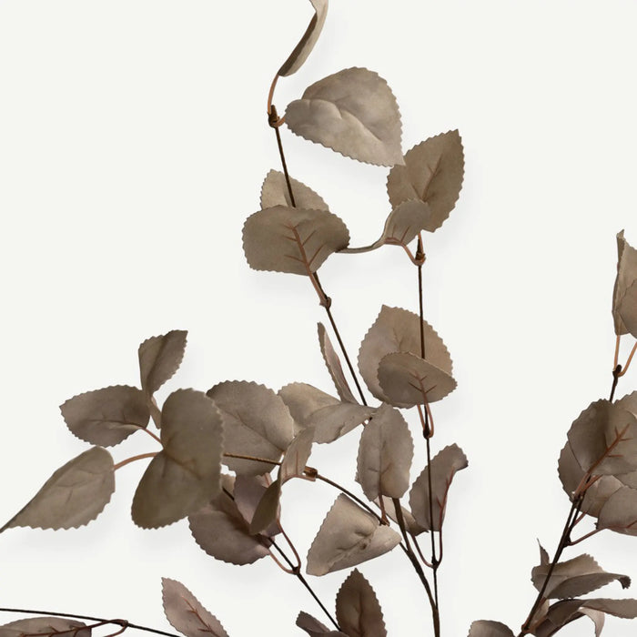 Eucalyptus Leaves - Beige - H65 Cm