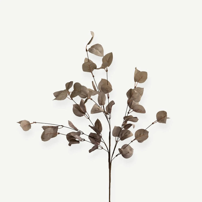 Eucalyptus Leaves - Beige - H65 Cm